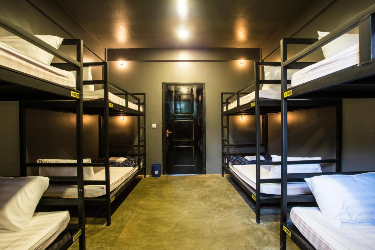 White Rabbit Hostel Siem Reap Exteriör bild